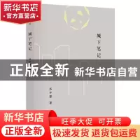正版 城下笔记 苏丰雷 漓江出版社 9787540785116 书籍
