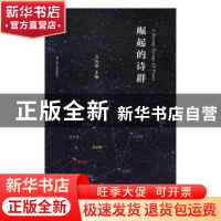 正版 崛起的诗群 苏历铭主编 江苏人民出版社 9787214219473 书籍