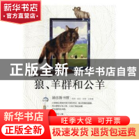 正版 狼 羊群和公羊(彩图版) 李俊 黄山书社 9787546175270 书籍