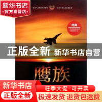 正版 鹰族 周建著 文化艺术出版社 9787503951398 书籍