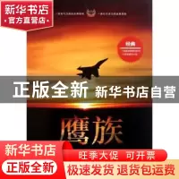 正版 鹰族 周建著 文化艺术出版社 9787503951398 书籍