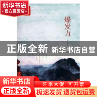 正版 爆发力 杨晓升 中国言实出版社 9787517108948 书籍