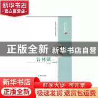 正版 普林镇 尹亿民著 敦煌文艺出版社 9787546809830 书籍