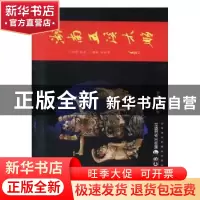 正版 湖南五溪木雕 雷虹主编 湖南美术出版社 9787535684790 书籍