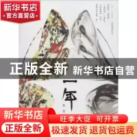 正版 一年 朱佳著 中国财富出版社 9787504758941 书籍