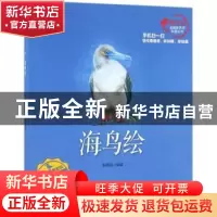 正版 海鸟绘 张蓓蓓编绘 海洋出版社 9787502793814 书籍