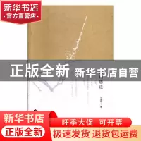 正版 见梅思迁 王瑾琦著 敦煌文艺出版社 9787546817057 书籍