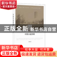 正版 中国小说史略 鲁迅著 时代文艺出版社 9787538757347 书籍