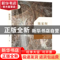 正版 陈家祠 彤子著 花城出版社 9787536077447 书籍