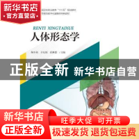 正版 人体形态学 陶冬英 浙江大学出版社 9787308194488 书籍