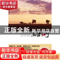 正版 高粱红了 [法]亚丁著 新星出版社 9787513300889 书籍