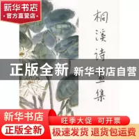 正版 桐溪诗画集 桐溪著 文化艺术出版社 9787503937170 书籍