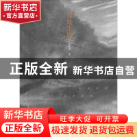 正版 处处尘埃 孙振华著 北岳文艺出版社 9787537854894 书籍