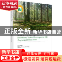 正版 Secondary xylem development:Ⅱ:Angiospermous trees