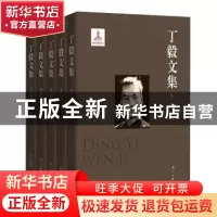 正版 丁毅文集 丁毅 著 漓江出版社 9787540775346 书籍