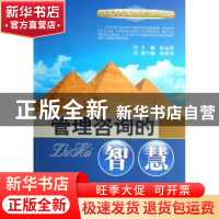 正版 管理咨询的智慧 向远洪 企业管理出版社 9787801978578 书籍