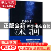 正版 深洞 刘辉,艾翎著 新世界出版社 9787510464904 书籍