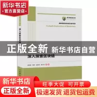 正版 深入探索区块链 李洪涛 人民邮电出版社 9787115507655 书籍