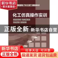 正版 化工仿真操作实训 王强 化学工业出版社 9787122205995 书籍