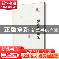 正版 骤雨中的阳光 莫树材著 时代文艺出版社 9787538765038 书籍