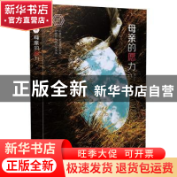 正版 母亲的愿力 赵婕 漓江出版社 9787540787301 书籍
