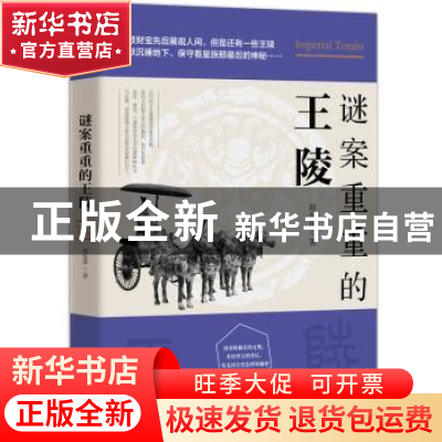 正版 谜案重重的王陵 胡岳潭著 台海出版社 9787516820360 书籍
