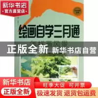 正版 绘画自学三月通:怎样画风景