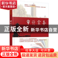 正版 审计实务 涂申清主编 北京大学出版社 9787301259719 书籍