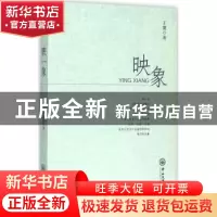 正版 映象 王廉著 中山大学出版社 9787306054098 书籍
