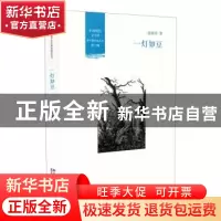 正版 一灯如豆 张晓琴著 北京大学出版社 9787301272053 书籍