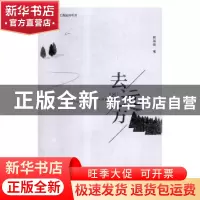 正版 去远方 段海晓著 中国文联出版社 9787519039868 书籍