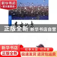 正版 惠安的鸟 刘荣成 中国林业出版社 9787503855276 书籍