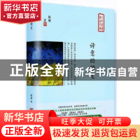 正版 诗意的错觉 陈雄著 中国言实出版社 9787517128137 书籍