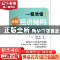 正版 图解经济结构 [日]栗原昇著 科学出版社 9787030344540 书籍