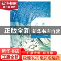 正版 长河 王哲珠著 花城出版社 9787536076983 书籍