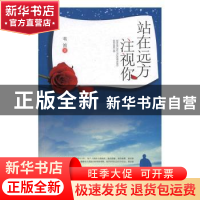 正版 站在远方注视你 苇笛著 中国商务出版社 9787510316579 书籍