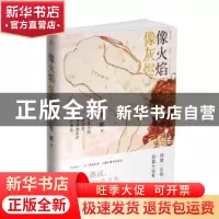正版 像火焰像灰烬 程姬著 四川文艺出版社 9787541151095 书籍