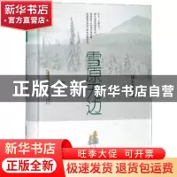 正版 雪原无边 徐迅 安徽文艺出版社 9787539663517 书籍