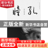 正版 瞳孔 宋小词 江苏凤凰文艺出版社 9787539995113 书籍