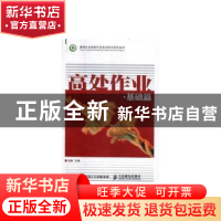 正版 高处作业(基础篇) 张新 人民邮电出版社 9787115448927 书籍