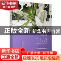 正版 与他隔着一片海 天爱著 贵州人民出版社 9787221136923 书籍