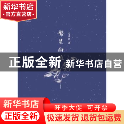 正版 繁星向谁 毛圣昌著 南京师范大学出版社 9787565124877 书籍