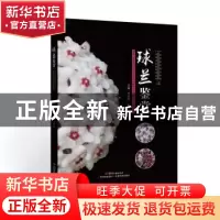 正版 球兰鉴赏 张静峰 广东科技出版社 9787535968524 书籍