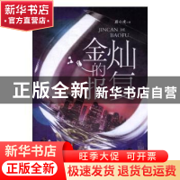 正版 金灿的报复 蔚小建 安徽文艺出版社 9787539658421 书籍