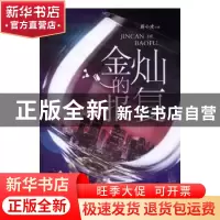 正版 金灿的报复 蔚小建 安徽文艺出版社 9787539658421 书籍