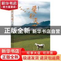 正版 爱行天下 徐国良著 人民文学出版社 9787020132270 书籍