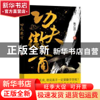 正版 功夫徽商 朱乙丑著 江苏凤凰文艺出版社 9787559427878 书籍