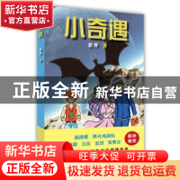 正版 小奇遇 骆烨著 中国言实出版社 9787517123774 书籍