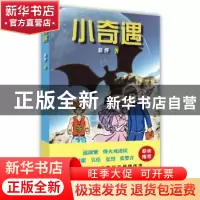 正版 小奇遇 骆烨著 中国言实出版社 9787517123774 书籍