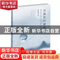 正版 光盏里的蜜蜂 穆蕾蕾著 太白文艺出版社 9787551308014 书籍